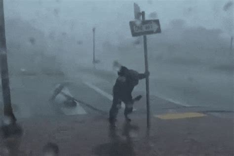 hurricane hillary gif|Storming Tropical Storm GIF by Storyful